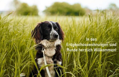 Villa Alpjuwel - Foto 36