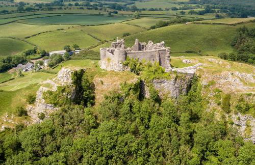 1 Bed in Llandyfan 65190 - Foto 16