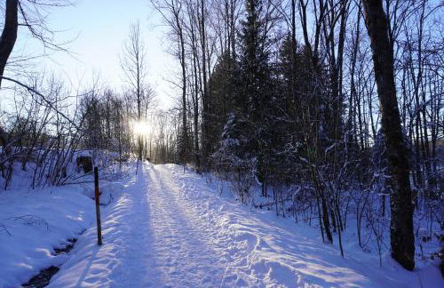FeWo BergZeit auf 1000 m Höhe mit Balkon, Parkplatz, WLAN, Küche - Photo 38