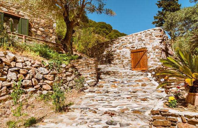 Ellafos Traditional Living - Foto 55