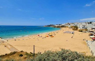 Segolene Design - Foto 50