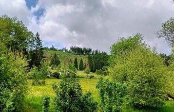 Ferienhütte Ilmtalblick - Foto 18