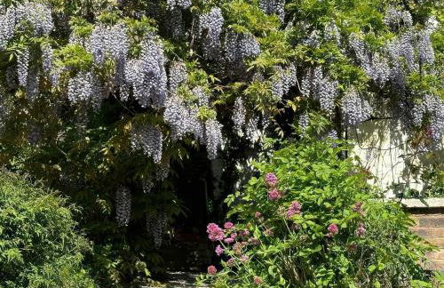 Gweryl Lodge - Foto 47