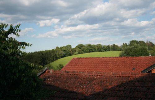 Liebevolle Fewo im Bayerischen Wald - Foto 12