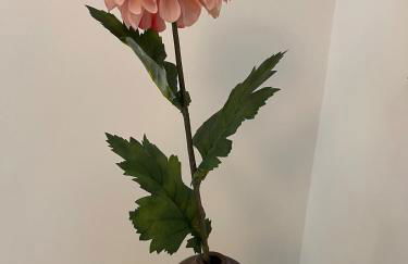 Superb large accommodation - Foto 13