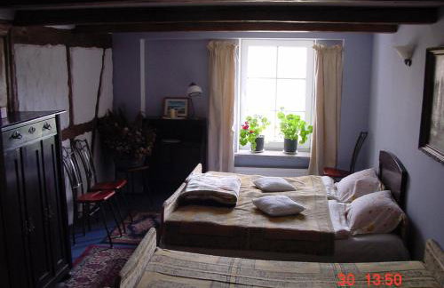 agroturystyka Orzechowe Wzgórze - Foto 74