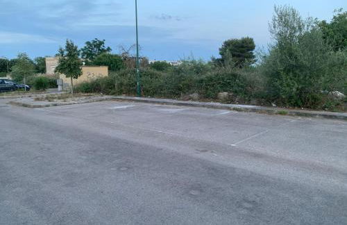 The Sunflower - Foto 67