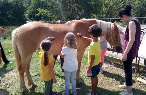Agriturismo la Fattoria al Crocefisso - Foto 46