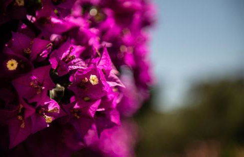 A 5 min à pied de la plage et 10 min du port, T2 vue mer avec vaste terrasse et parking privé - prestations haut de gamme - Foto 28