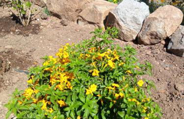 Casa de Celebrar a Vida - Foto 47