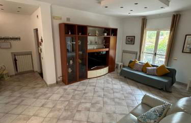 Vesuvius garden - Photo 12