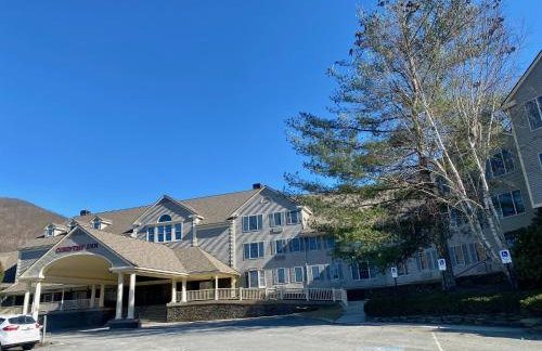 Cozy Ski in out Cabin in Berkshire Resort - Foto 12