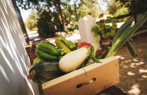 Cortijo Rica - Photo 26