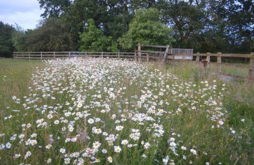 Whittlewood Shepherd's Hut in Silverstone, Cosy, Rural, Views - Photo 21