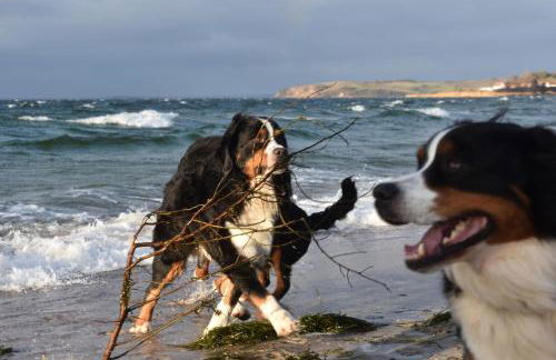 Ferienhaus Berner Sennen - Foto 3