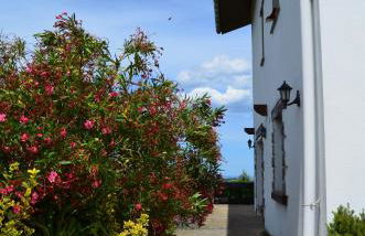 Agroturismo Kostegi - Foto 13