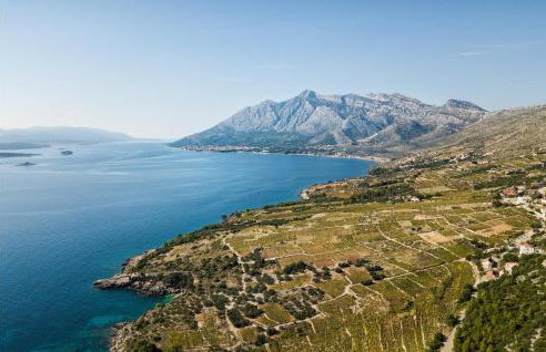 Villa Brilliance House - Photo 31