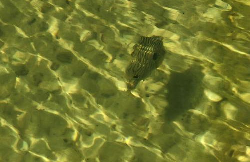 Luxury Beach Cottage With Private Beach - Foto 79