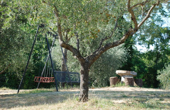 Tenuta San Savino delle Rocchette - Foto 64