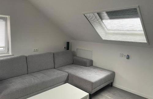 Boarding Suite - Foto 14