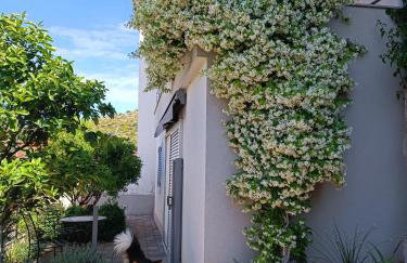 Apartmani Marinović - Foto 22