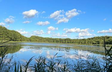 Domki z Pasją - Foto 63