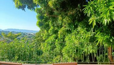 Incrível Casa Colonial-Déco - Centro Histórico - Foto 4, Garden view