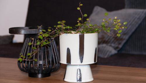 Ferienwohnung Bruderwald - Foto 4