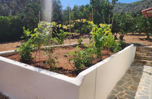 Xeno Bayview Apartment Salamina - Foto 6