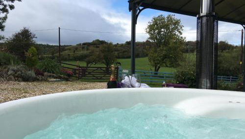 Glan Llyn Farm House - Foto 2