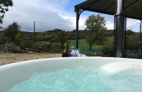 Glan Llyn Farm House - Foto 2