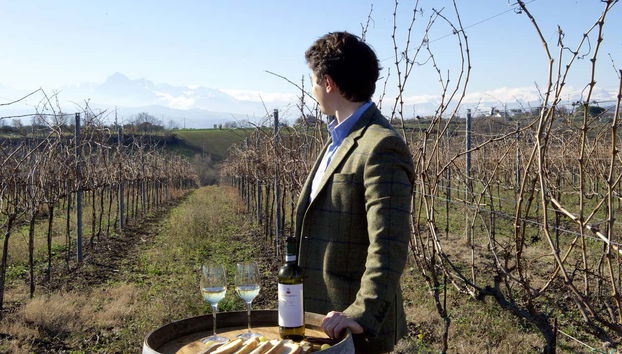 Cantina Mazzarosa Wine Tour - Foto 2