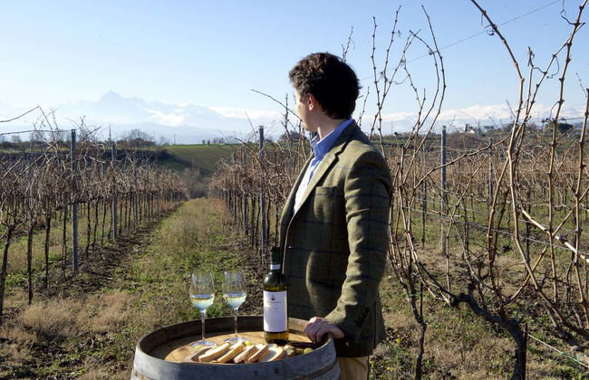 Visita à Cantina Mazzarosa - Foto 1