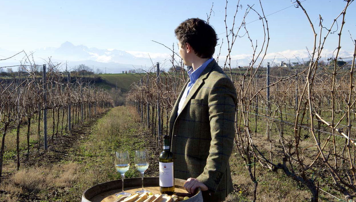 Vignobles de la Cantina Mazzarosa