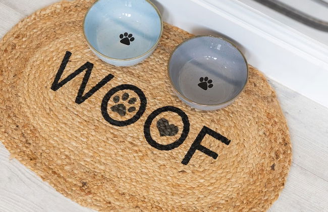 Bosham 3 BR Beach House With Garden Playhouse - Photo 16