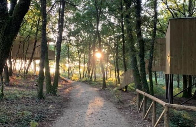 Enoturismo María Manuela - Photo 42