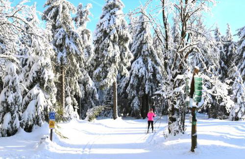 Thüringer Wald-Zauber - Foto 40