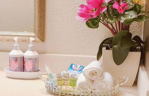 Home felt apartment- Med Center/NRG - Foto 35