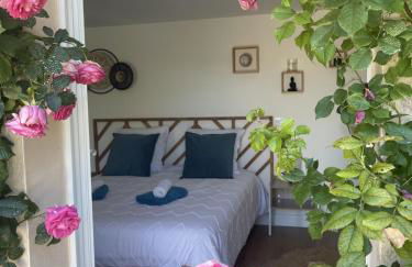 Alba zen & spa - Photo 13