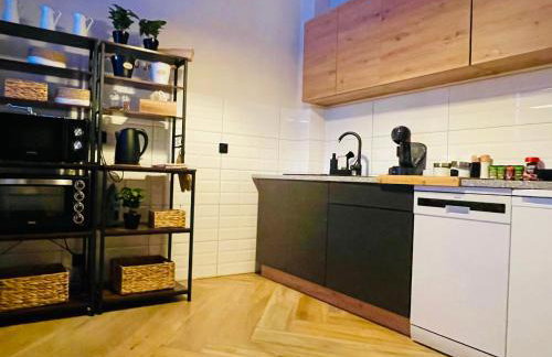 GÓRSKA CISZA - Duży, komfortowy, wyjątkowy Apartament - Foto 44