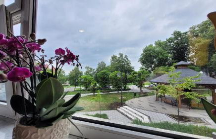 Apartamenty Parkowe nr 5 - Foto 16