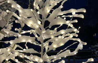 Ferienwohnung Bleicherode - Foto 10