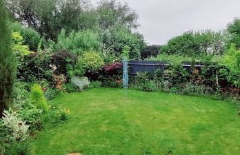 Willowbank - Photo 23