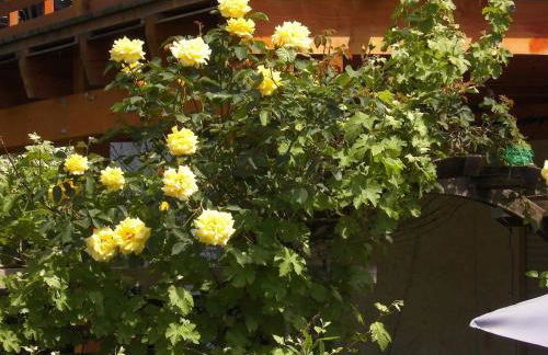 farbenfrohe Ferienwohnung - Foto 19