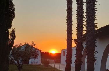 Masseria Crocco - Foto 2