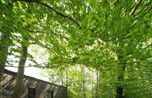 Architektur Ferienhaus Eifel SUITE17 - Foto 13