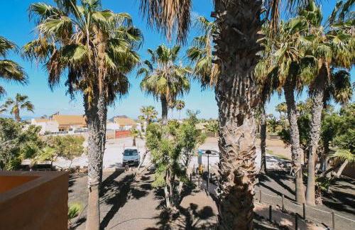 Playa y Palmera - Photo 30