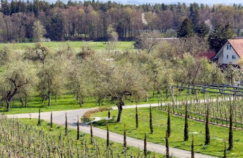 Bergchalet Mirabell - Hofgut - Foto 79