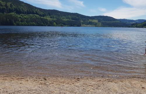 Ferienwohnung BUTTERBLUME, Feldberg - Haus Wiesenquelle - Foto 51