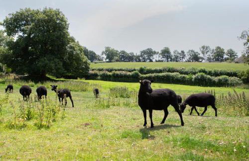 The Croft @ Warrens Farm - Foto 38